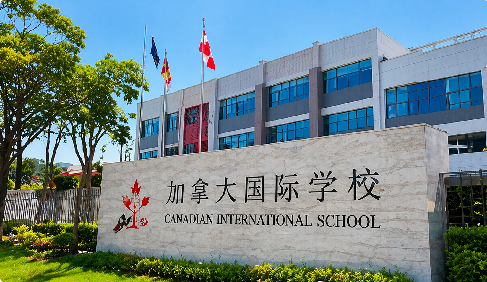 首页案例图片